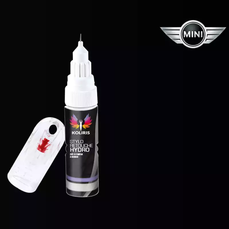 Stylo retouche peinture voiture Mini 20ml