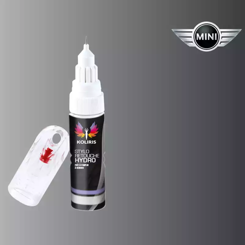 Stylo retouche peinture voiture Mini 20ml