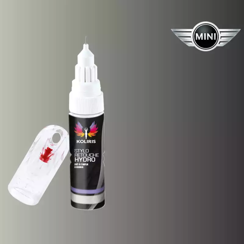 Stylo retouche peinture voiture Mini 20ml