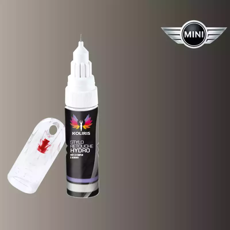 Stylo retouche peinture voiture Mini 20ml