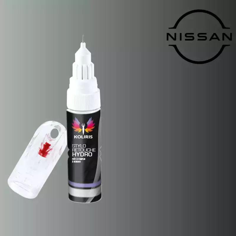 Stylo retouche peinture voiture Nissan 20ml