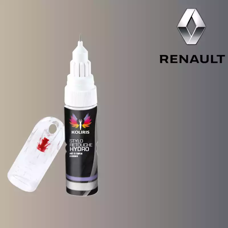 Stylo retouche peinture voiture Renault 20ml