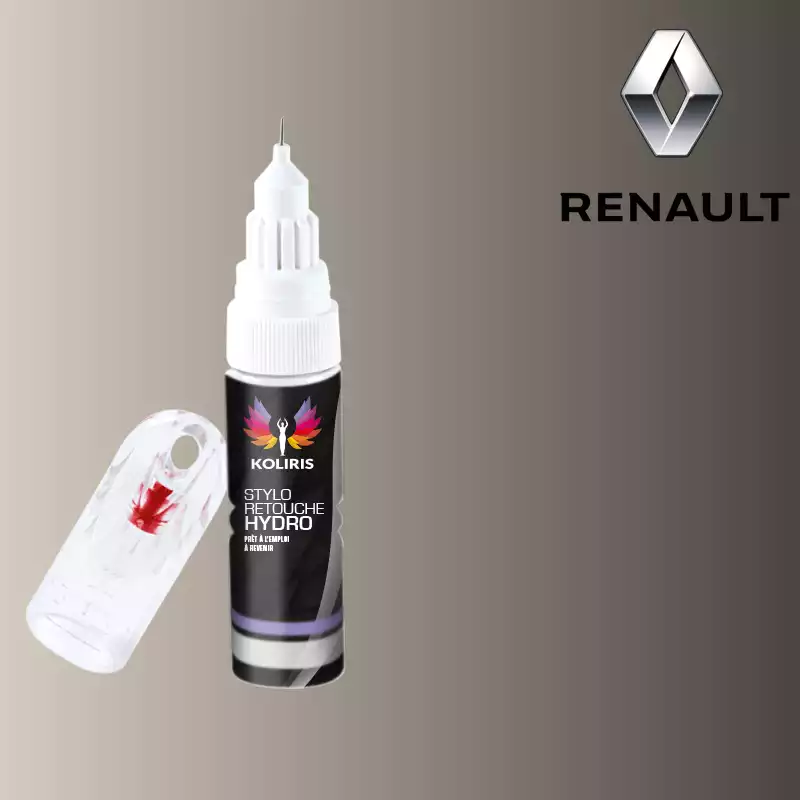 Stylo retouche peinture voiture Renault 20ml