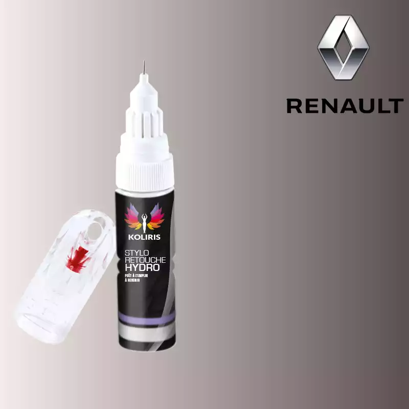 Stylo retouche peinture voiture Renault 20ml