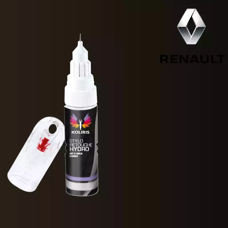 Stylo retouche peinture voiture Renault 20ml