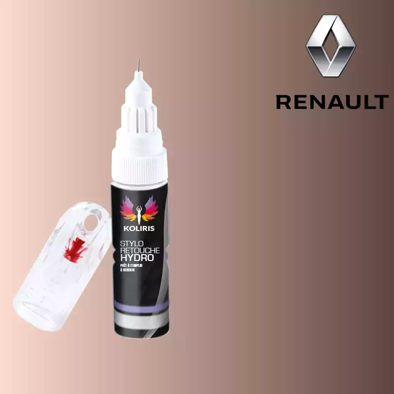 Stylo retouche peinture voiture Renault 20ml