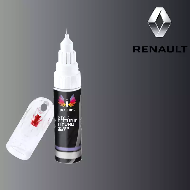 Stylo retouche peinture voiture Renault 20ml