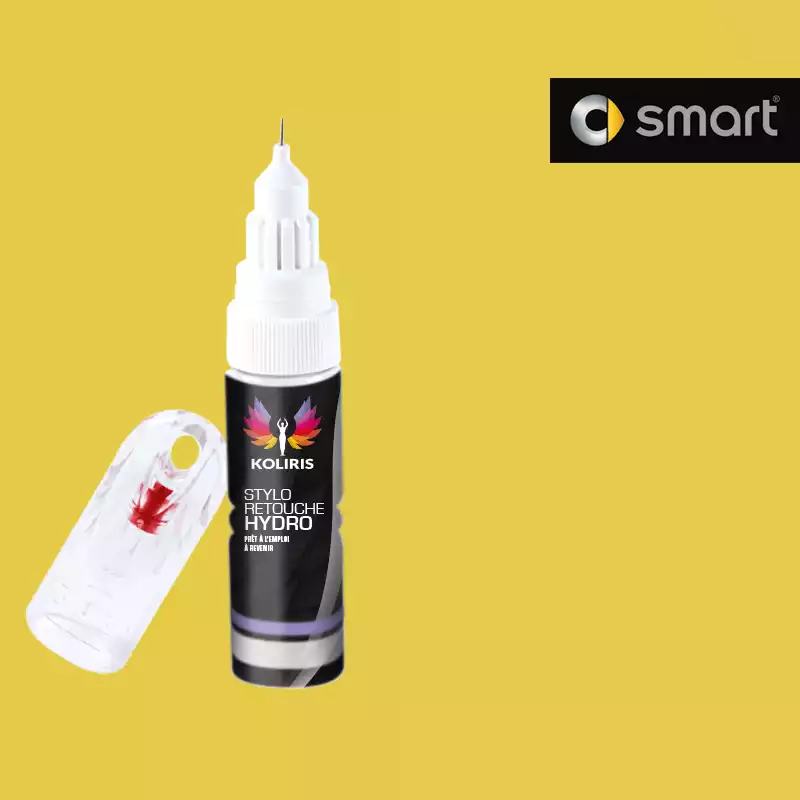 Stylo retouche peinture voiture Smart 20ml