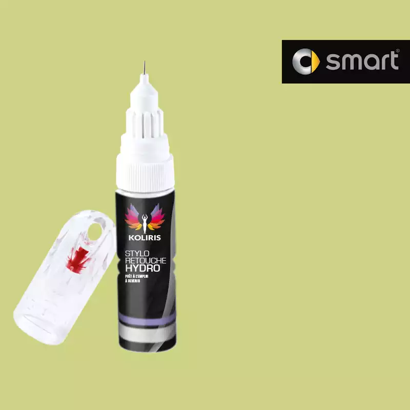 Stylo retouche peinture voiture Smart 20ml