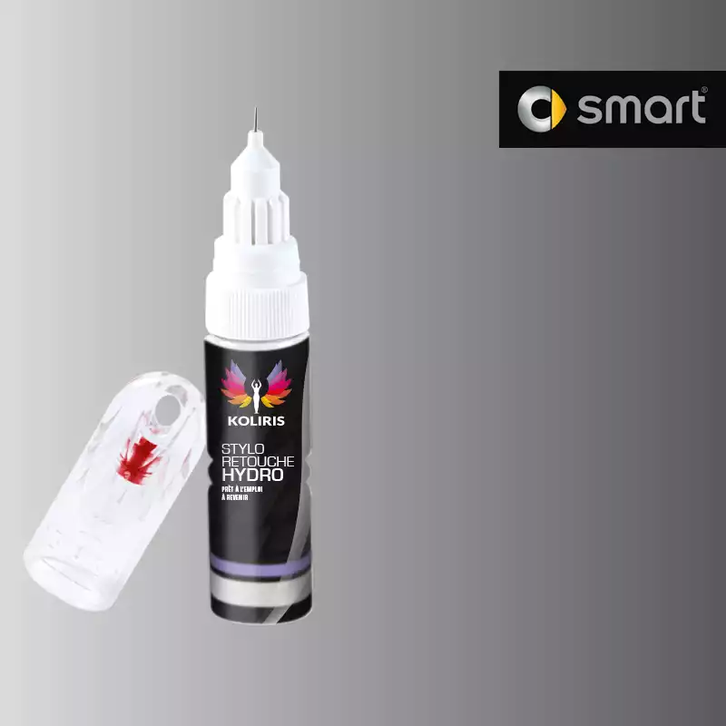 Stylo retouche peinture voiture Smart 20ml