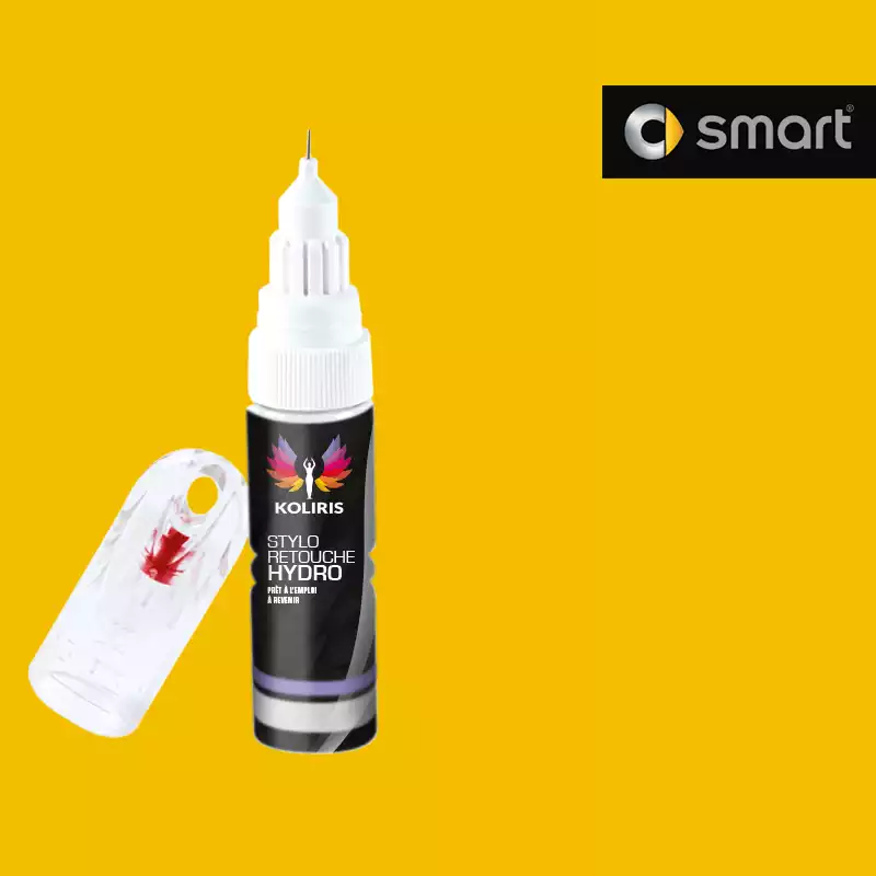 Stylo retouche peinture voiture Smart 20ml