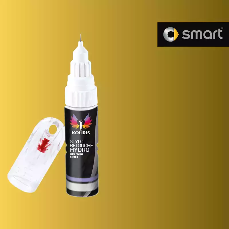 Stylo retouche peinture voiture Smart 20ml