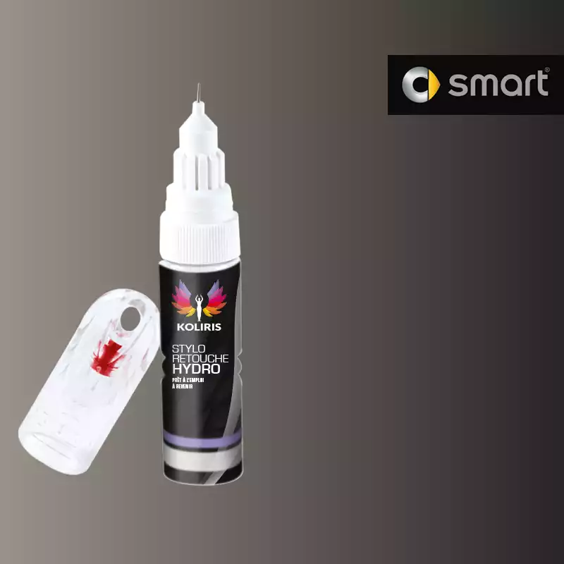 Stylo retouche peinture voiture Smart 20ml