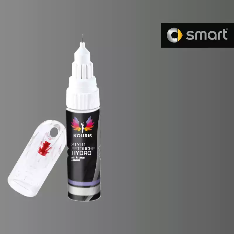 Stylo retouche peinture voiture Smart 20ml