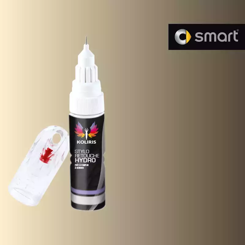 Stylo retouche peinture voiture Smart 20ml