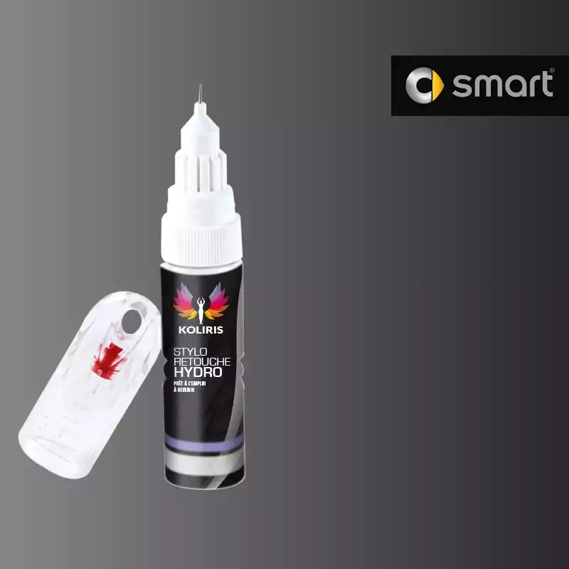 Stylo retouche peinture voiture Smart 20ml