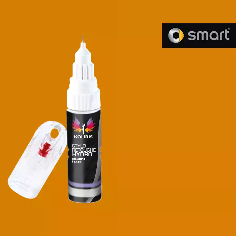 Stylo retouche peinture voiture Smart 20ml