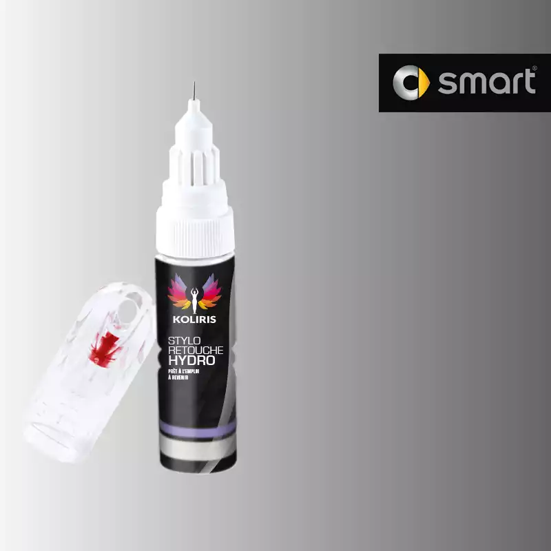 Stylo retouche peinture voiture Smart 20ml