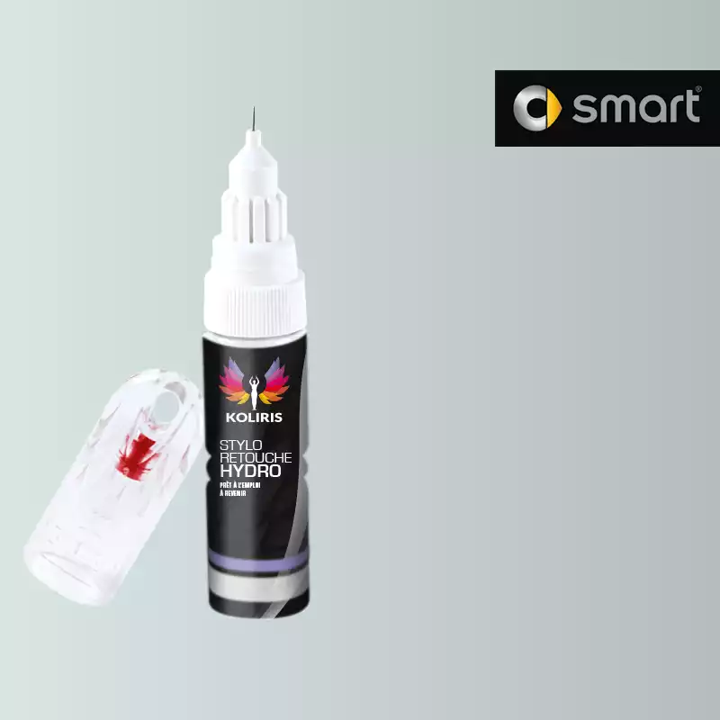 Stylo retouche peinture voiture Smart 20ml