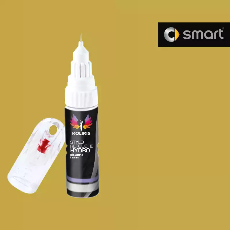 Stylo retouche peinture voiture Smart 20ml