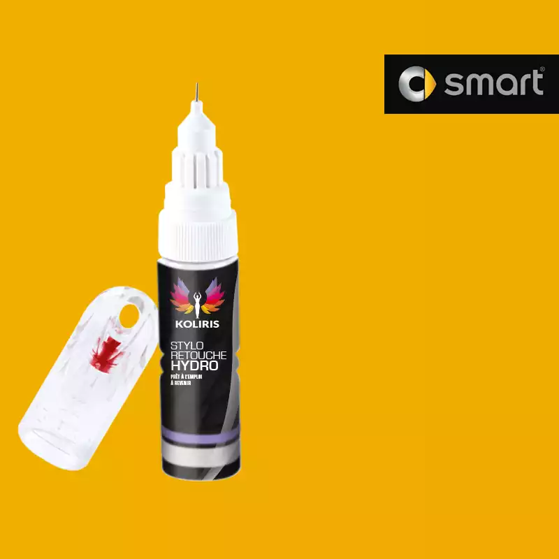 Stylo retouche peinture voiture Smart 20ml