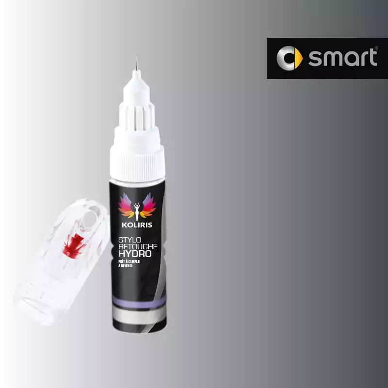 Stylo retouche peinture voiture Smart 20ml