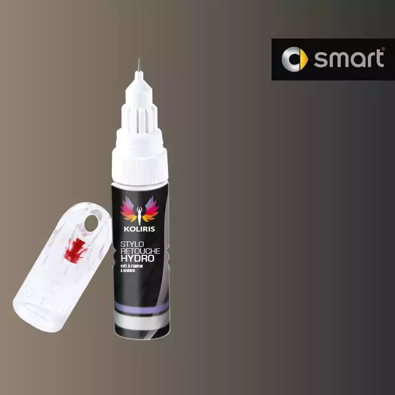 Stylo retouche peinture voiture Smart 20ml