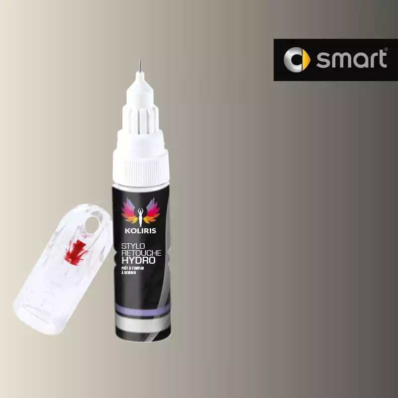 Stylo retouche peinture voiture Smart 20ml