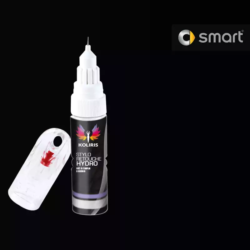 Stylo retouche peinture voiture Smart 20ml