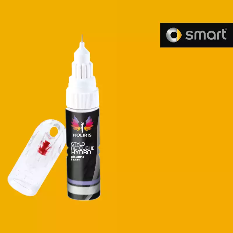 Stylo retouche peinture voiture Smart 20ml