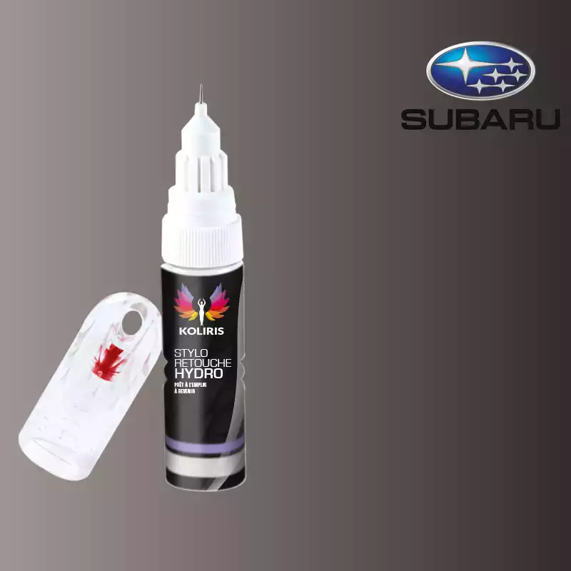 Stylo retouche peinture voiture Subaru 20ml