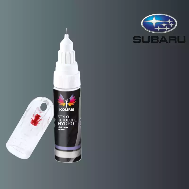 Stylo retouche peinture voiture Subaru 20ml