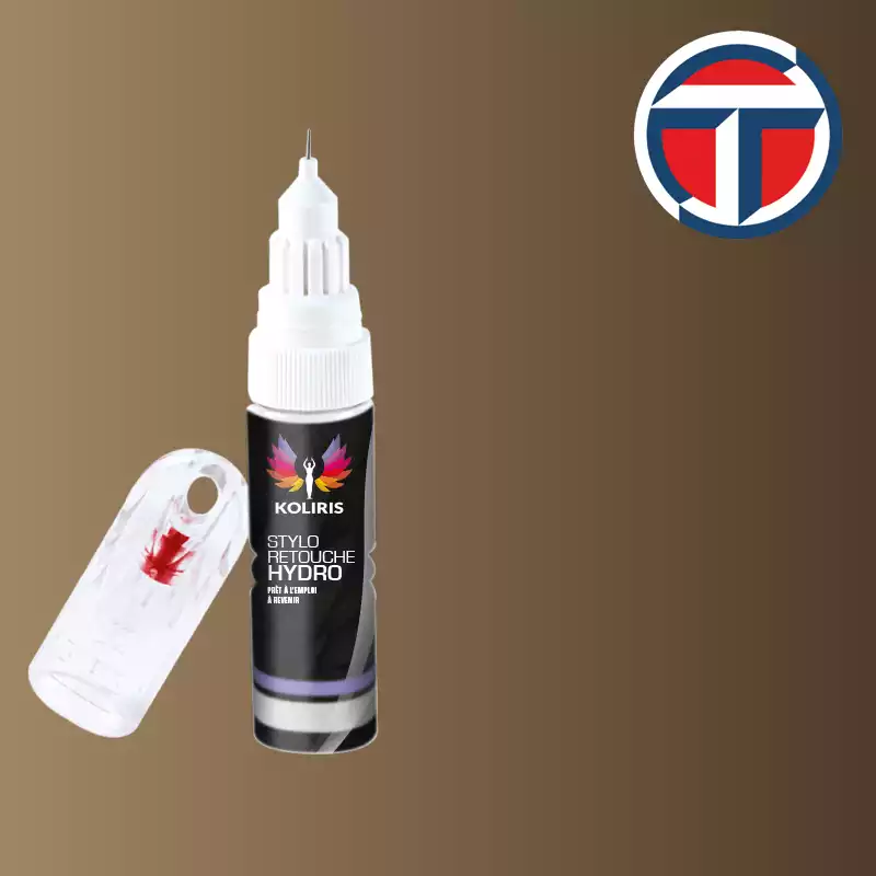 Stylo retouche peinture utilitaire Talbot 20ml