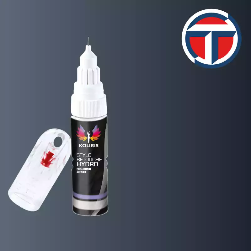 Stylo retouche peinture utilitaire Talbot 20ml