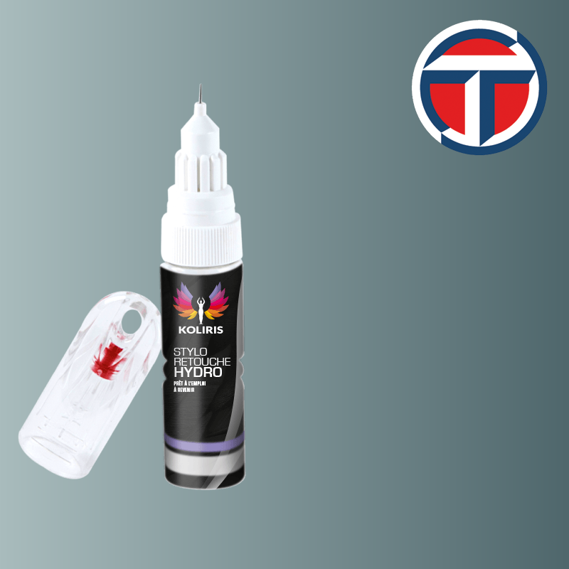 Stylo retouche peinture utilitaire Talbot 20ml