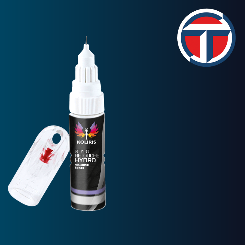 Stylo retouche peinture utilitaire Talbot 20ml