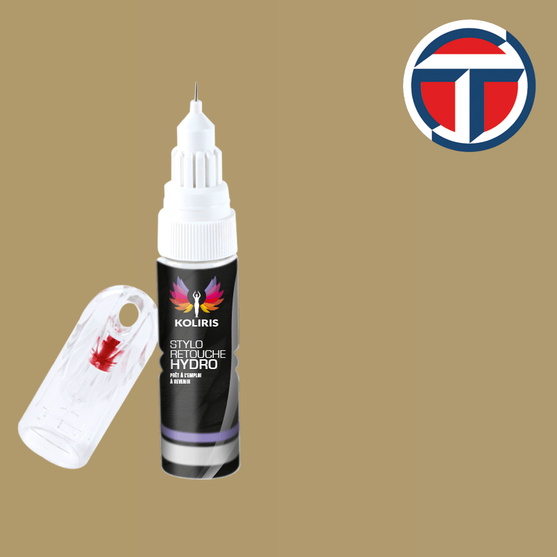 Stylo retouche peinture utilitaire Talbot 20ml