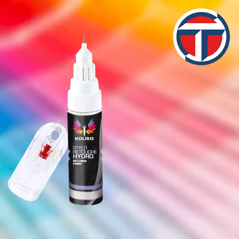 Stylo retouche peinture utilitaire Talbot 20ml