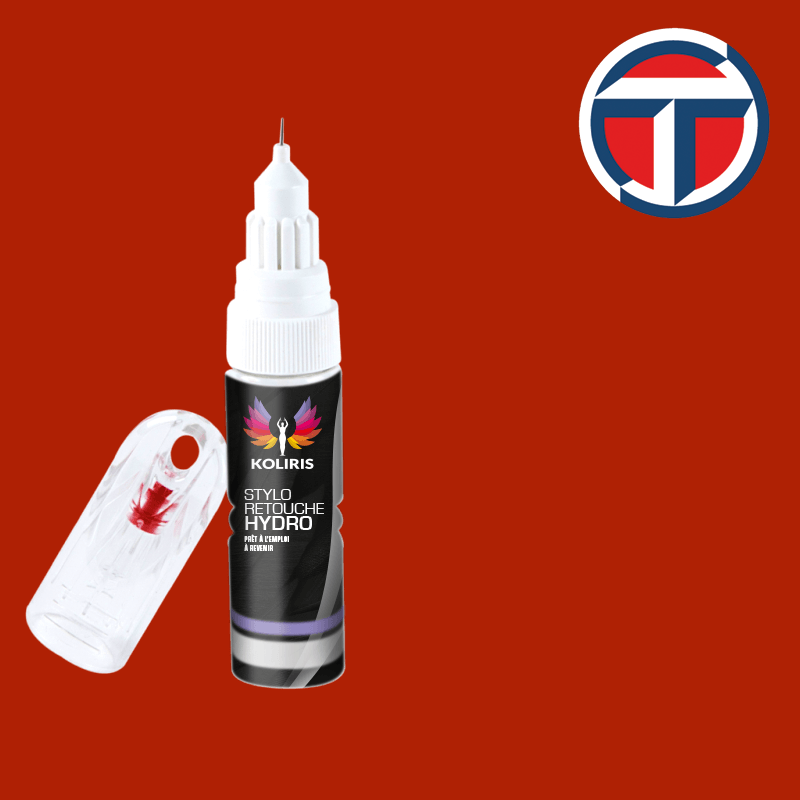 Stylo retouche peinture utilitaire Talbot 20ml