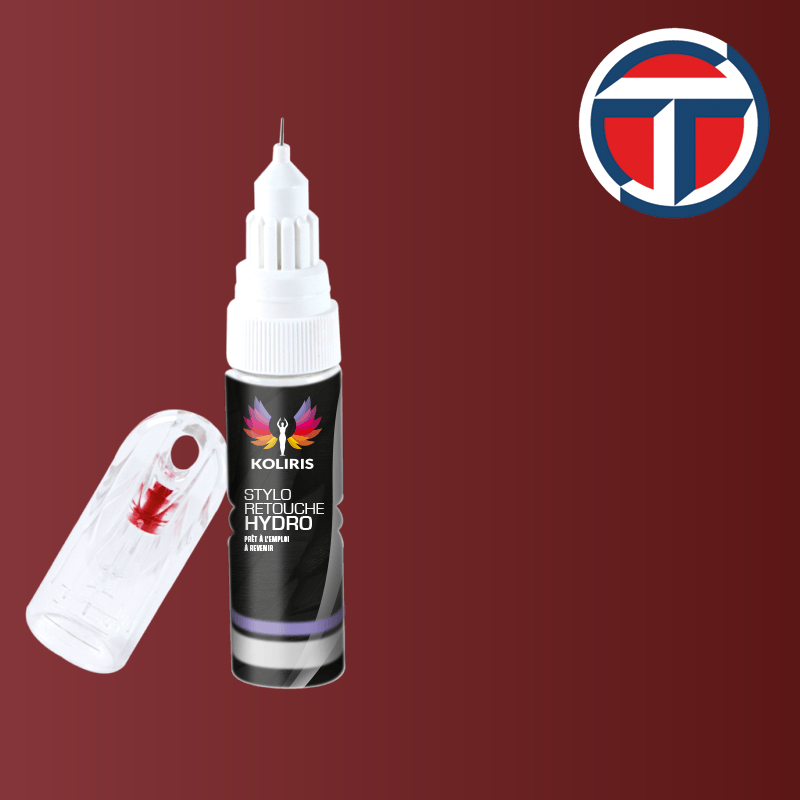 Stylo retouche peinture utilitaire Talbot 20ml