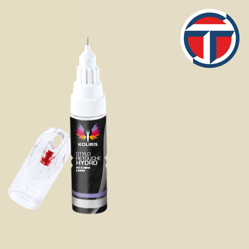 Stylo retouche peinture utilitaire Talbot 20ml