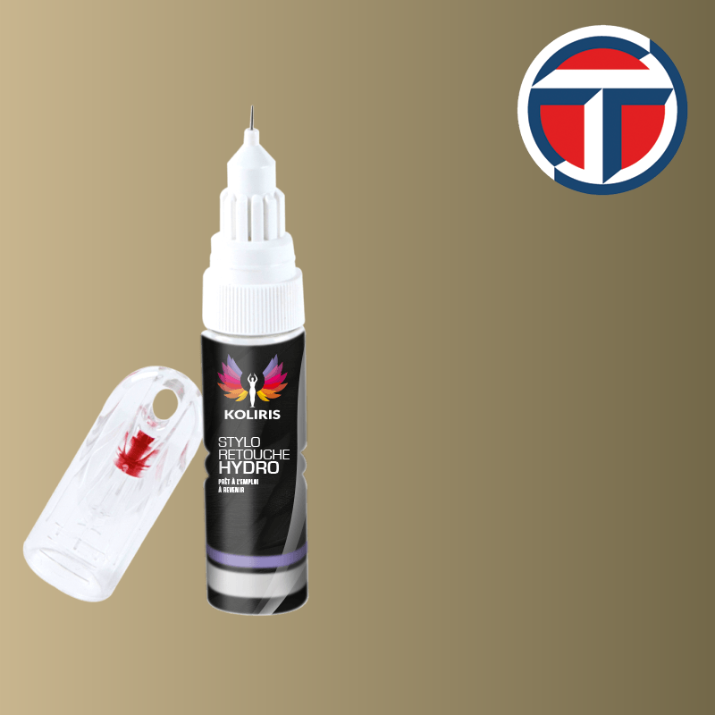 Stylo retouche peinture utilitaire Talbot 20ml