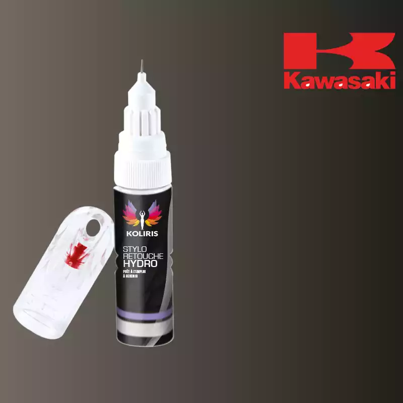 Stylo retouche peinture moto Kawasaki Moto 20ml