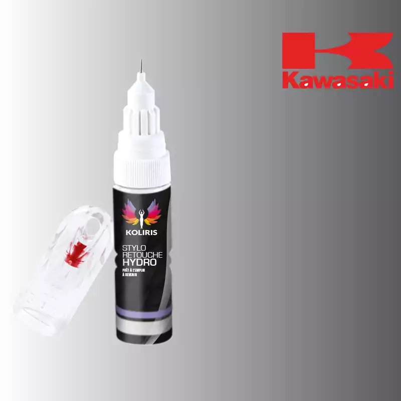 Stylo retouche peinture moto Kawasaki Moto 20ml