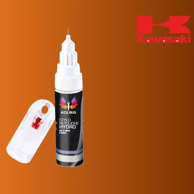 Stylo retouche peinture moto Kawasaki Moto 20ml