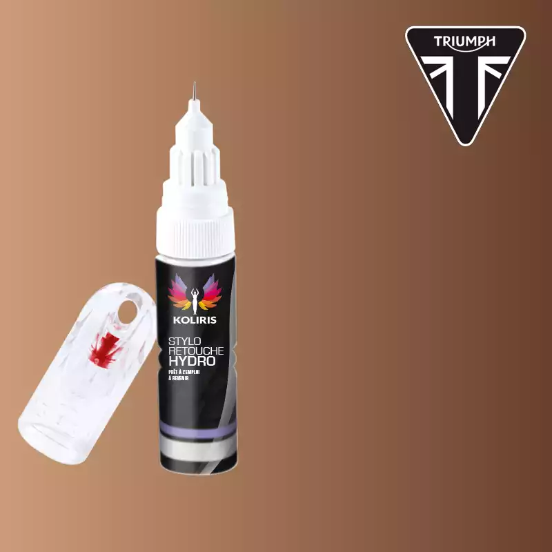 Stylo retouche peinture moto Triumph Moto 20ml