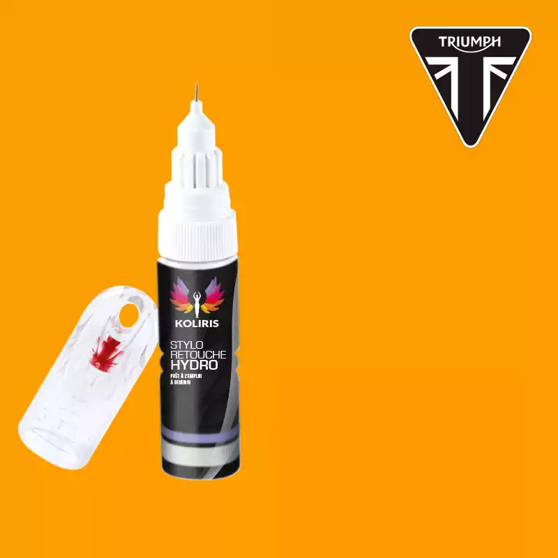 Stylo retouche peinture moto Triumph Moto 20ml