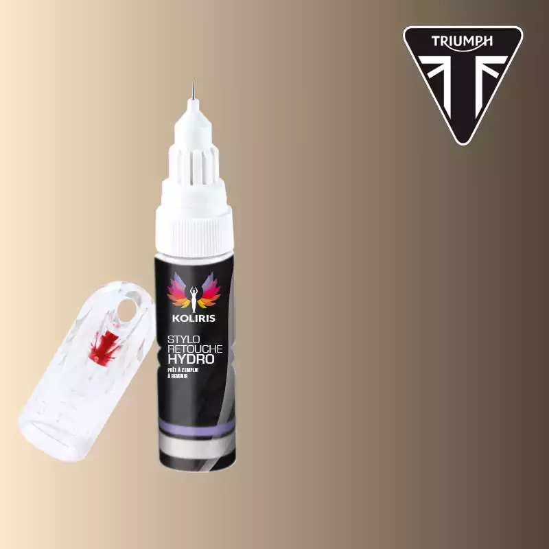 Stylo retouche peinture moto Triumph Moto 20ml