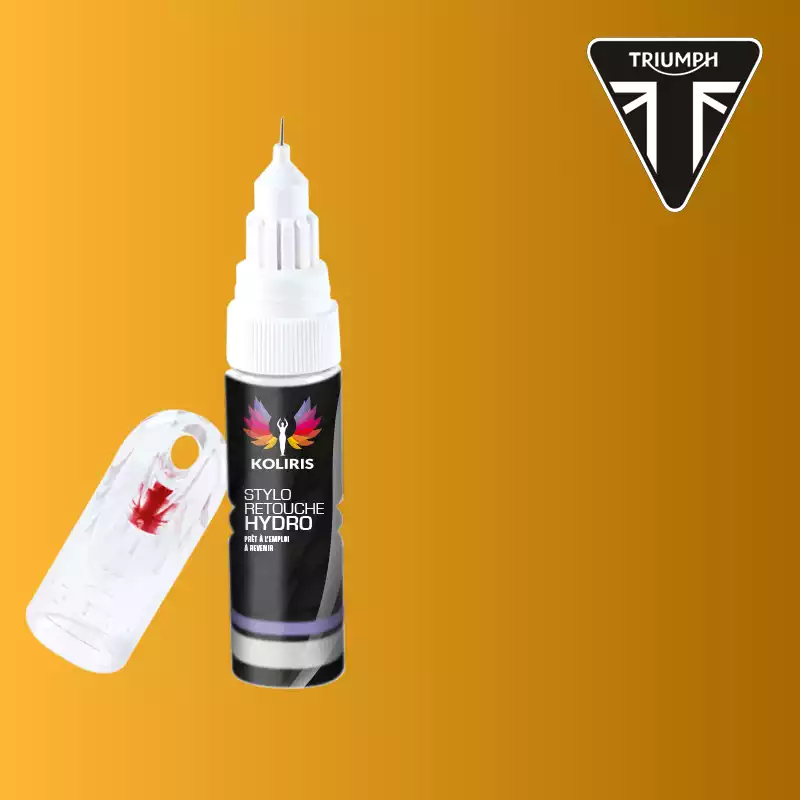 Stylo retouche peinture moto Triumph Moto 20ml