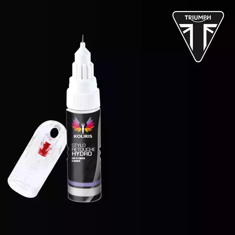 Stylo retouche peinture moto Triumph Moto 20ml